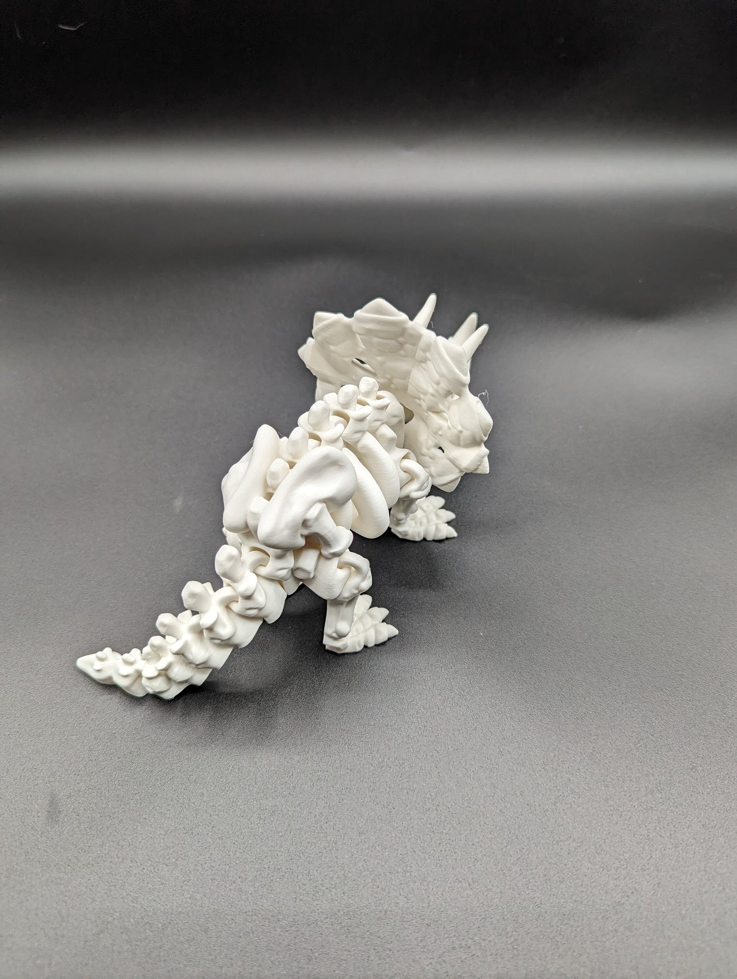 Skeleton Triceratops where imagination meets prehistory! Unique Gift!