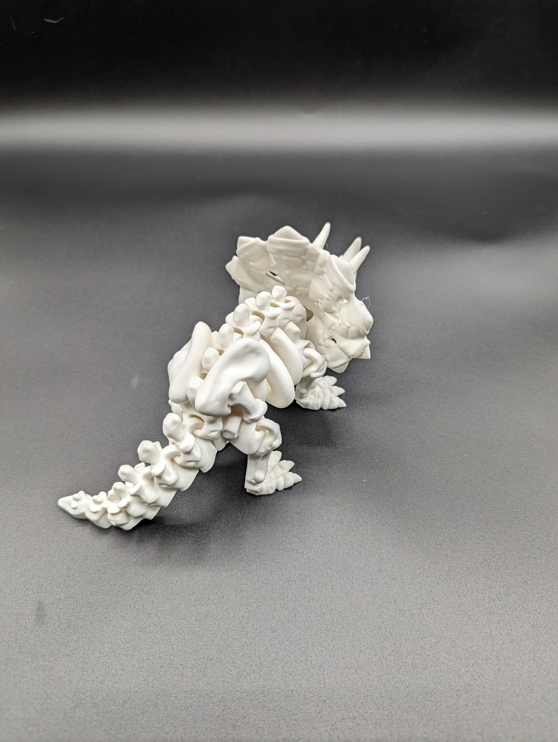 Skeleton Triceratops where imagination meets prehistory! Unique Gift!