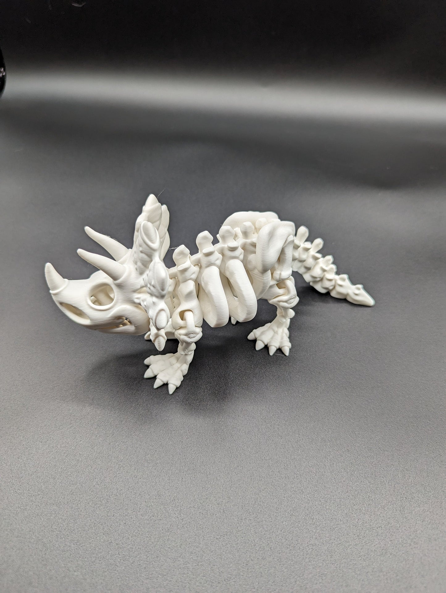 Skeleton Triceratops where imagination meets prehistory! Unique Gift!