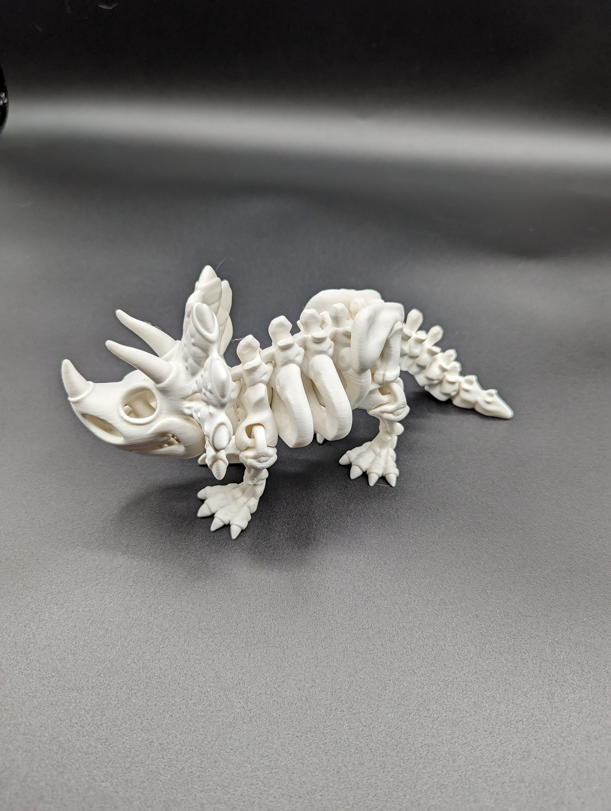 Skeleton Triceratops where imagination meets prehistory! Unique Gift!