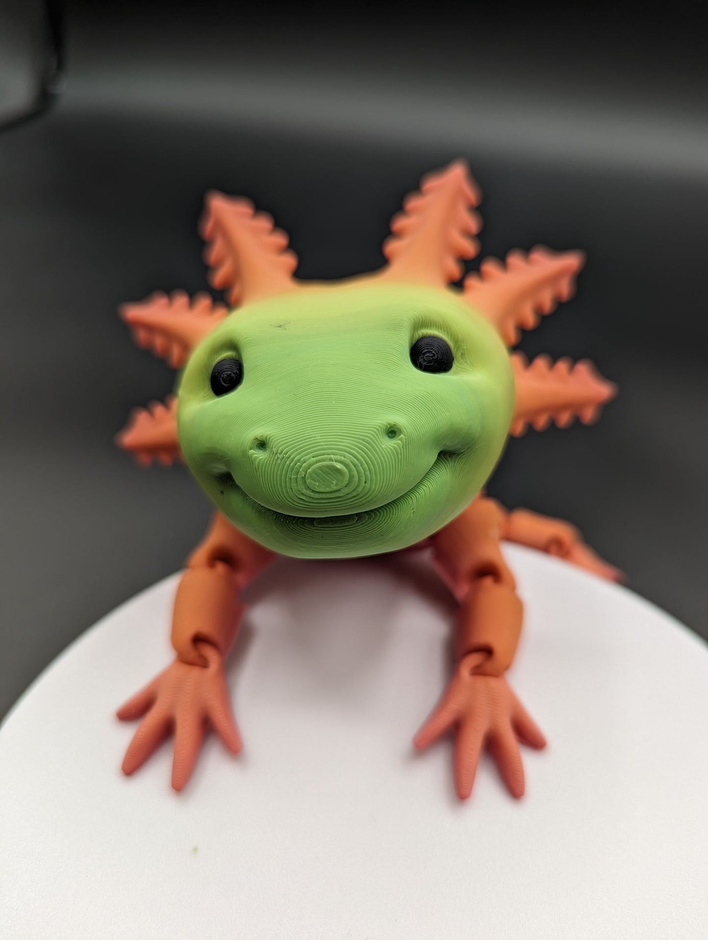 Axolotl Happy Axolotl Fidget Smiling Axolotl Fidget Toy 3D printed Articulated Axolotl Gift Unique Poseable Reptile Art!