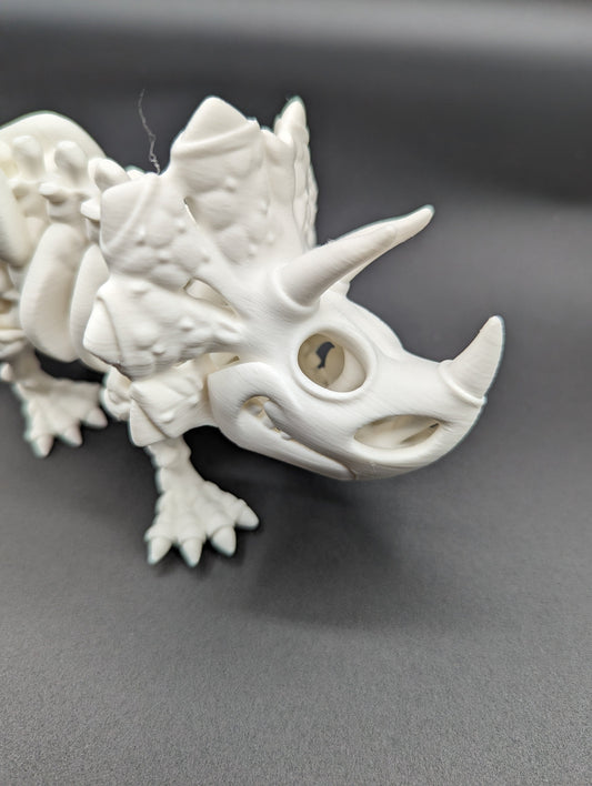 Skeleton Triceratops where imagination meets prehistory! Unique Gift!