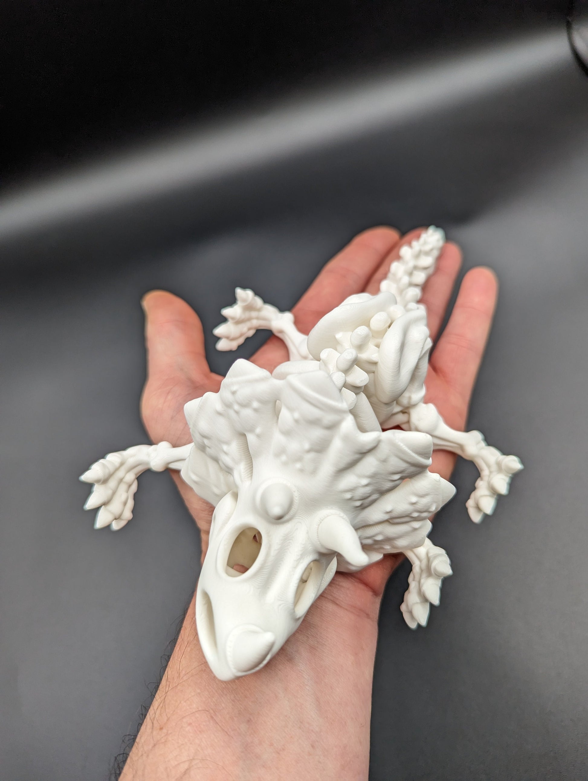 Skeleton Triceratops where imagination meets prehistory! Unique Gift!