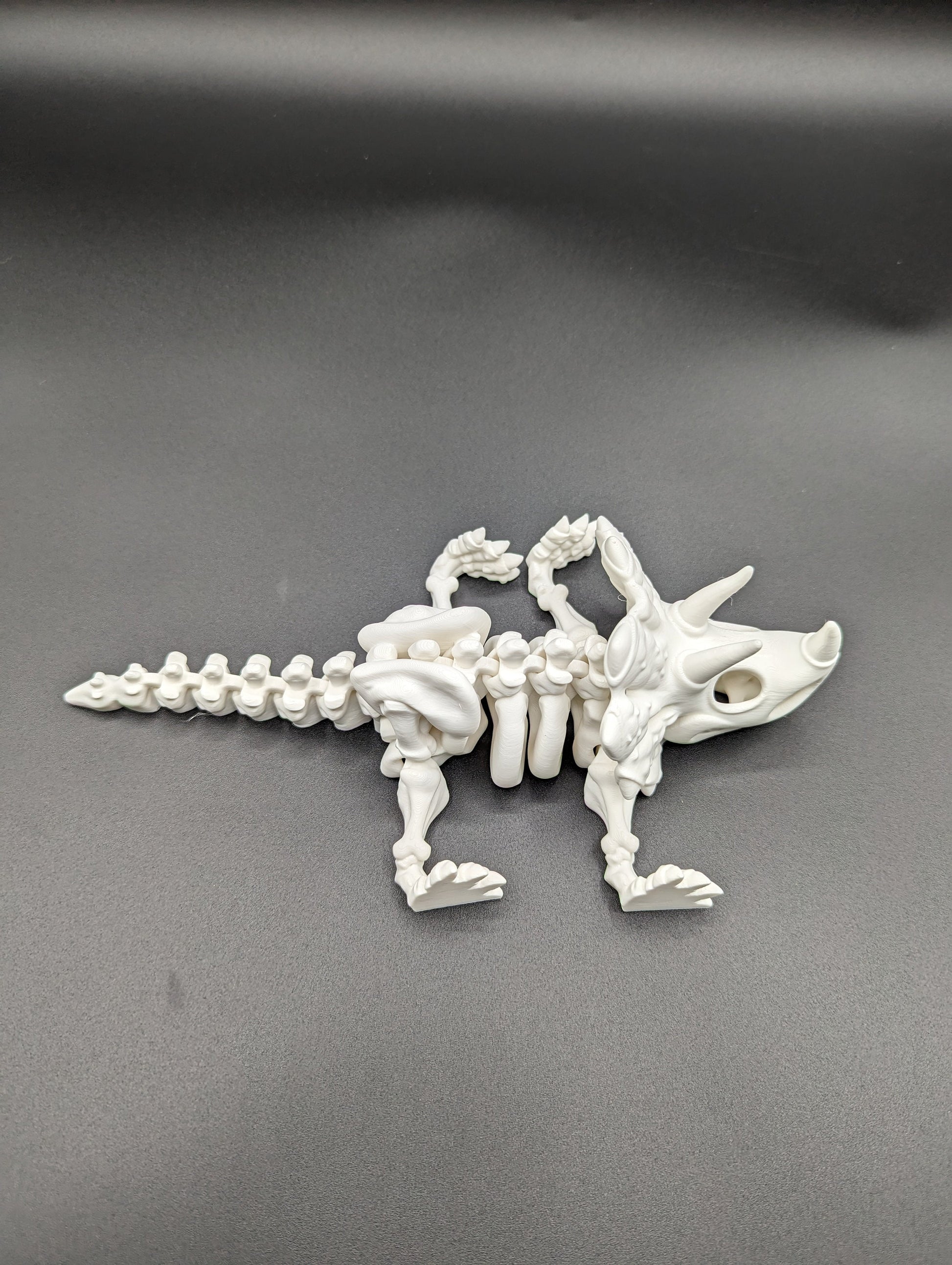 Skeleton Triceratops where imagination meets prehistory! Unique Gift!