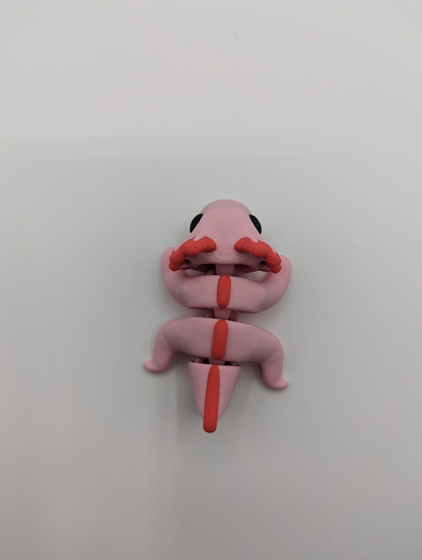 Axolotl 3D Printed Baby Axolotl The Perfect Desk Buddy Fidget Toy Fidget Toy Desk Stress Toy