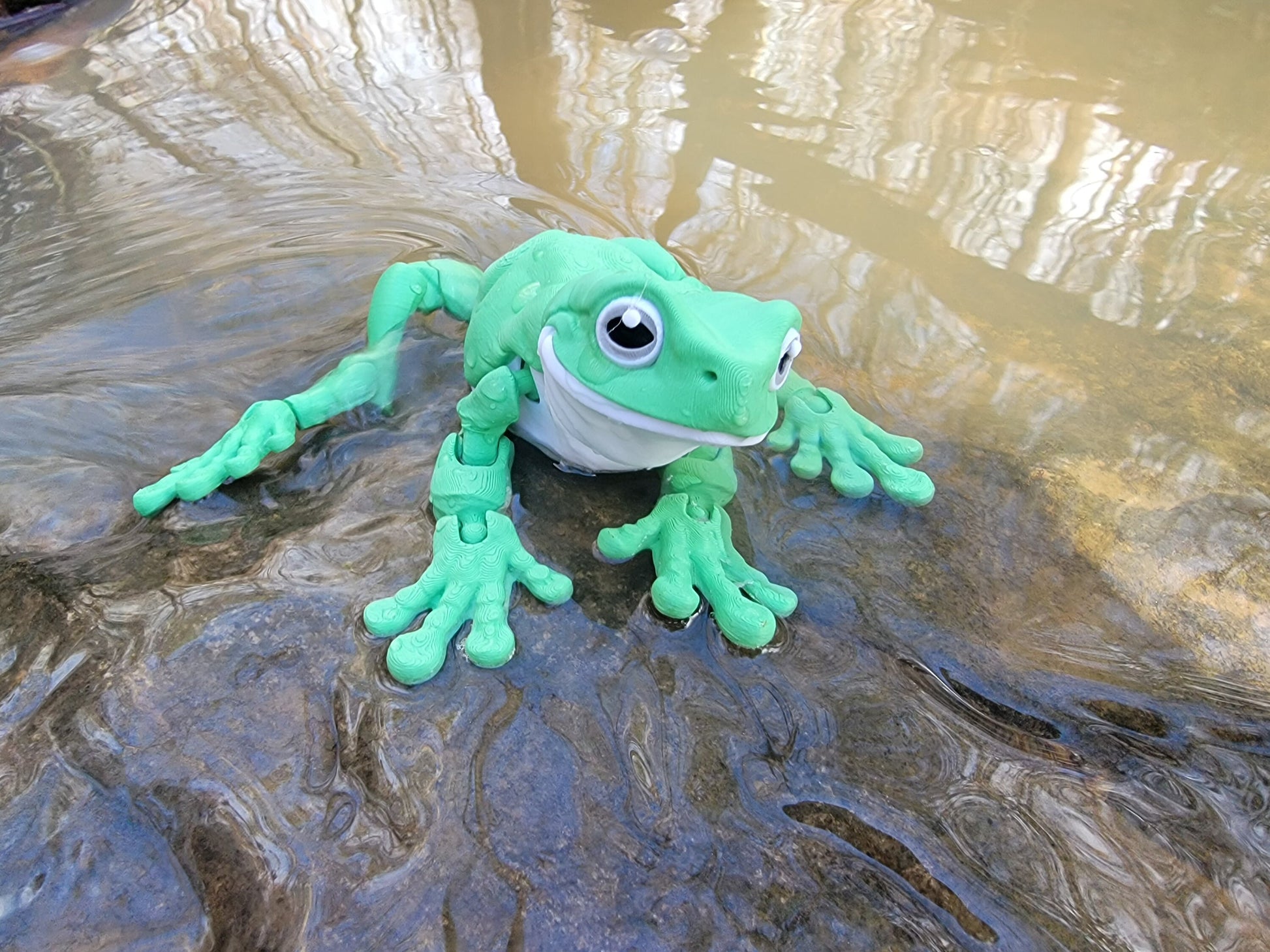 Multicolor Frog tree frog cute frog dumpy frog 3d printed frog whites tree frog white's treefrog