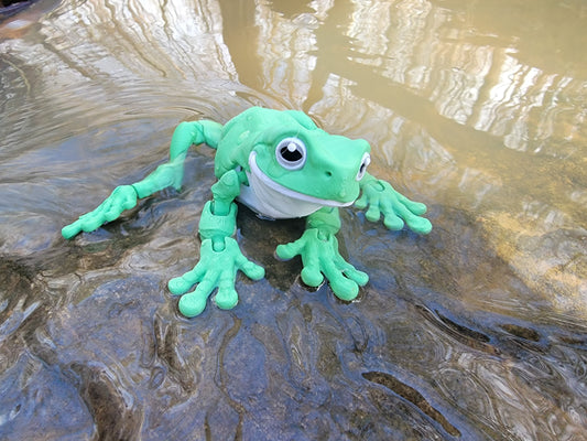 Multicolor Frog tree frog cute frog dumpy frog 3d printed frog whites tree frog white's treefrog