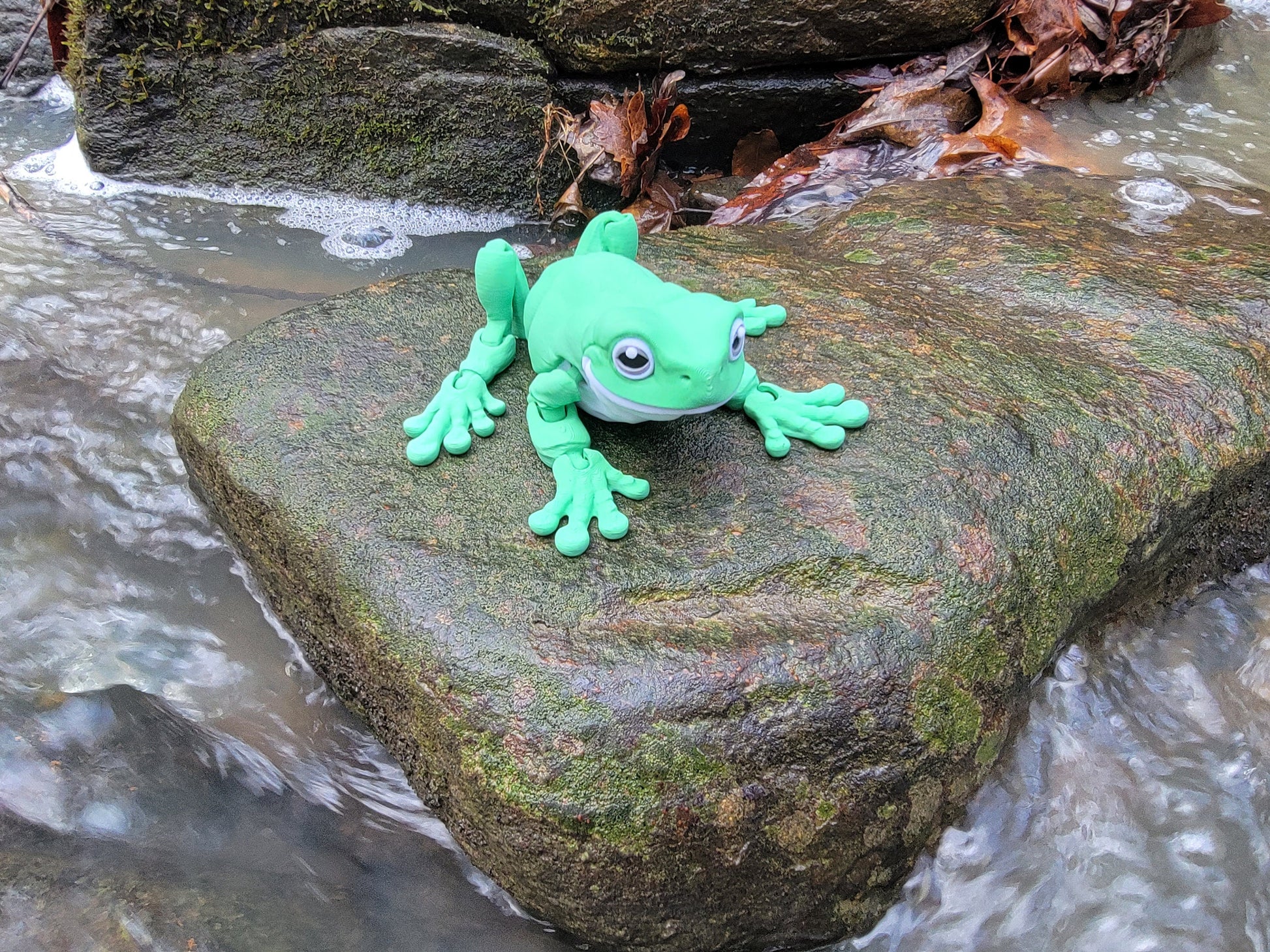 Multicolor Frog tree frog cute frog dumpy frog 3d printed frog whites tree frog white's treefrog