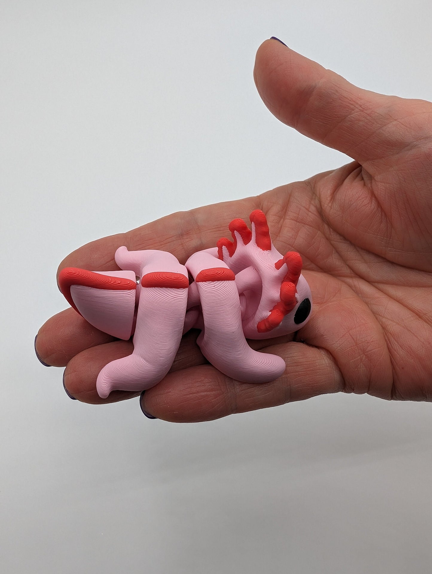 Axolotl 3D Printed Baby Axolotl The Perfect Desk Buddy Fidget Toy Fidget Toy Desk Stress Toy