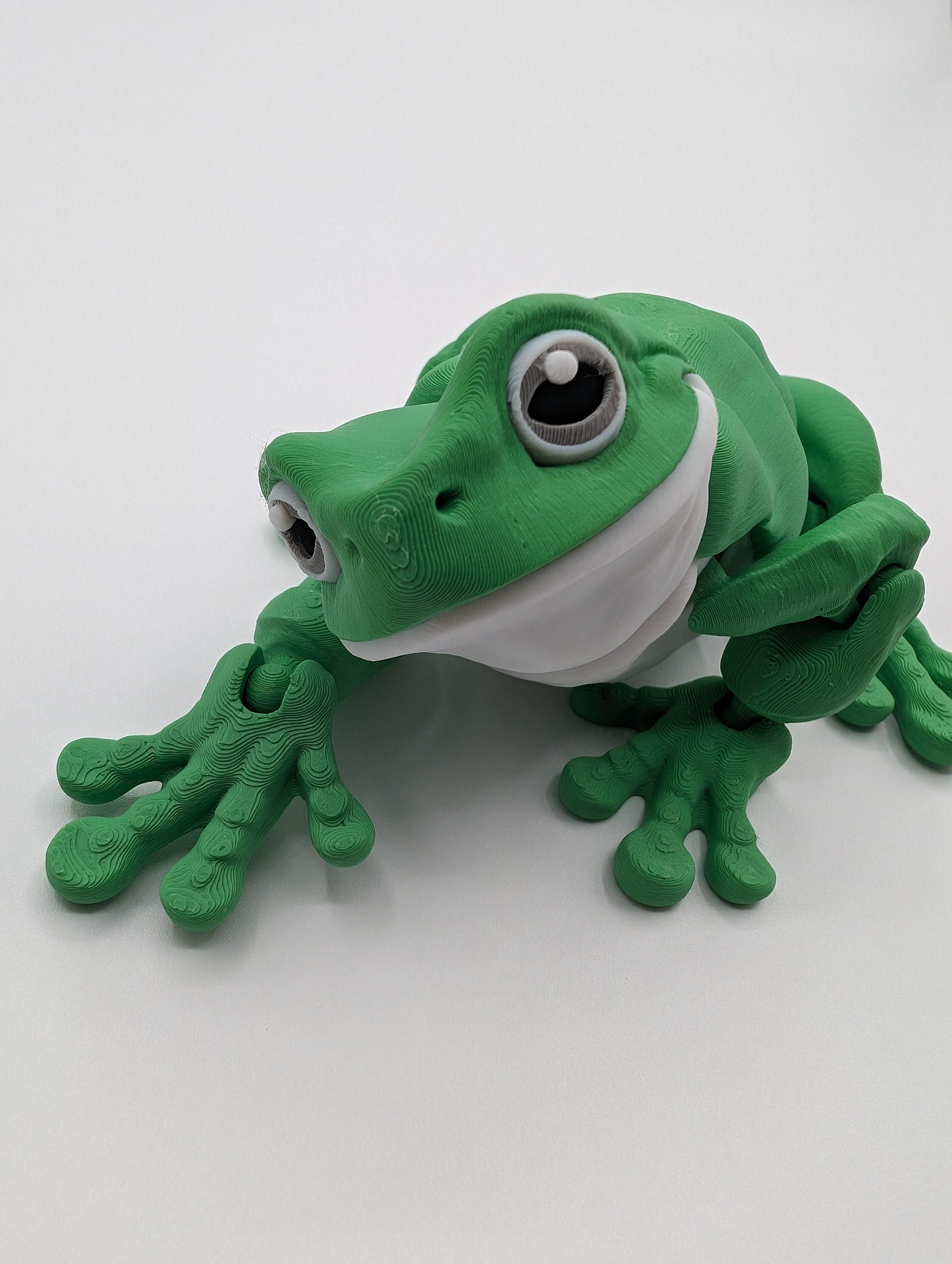 Multicolor Frog tree frog cute frog dumpy frog 3d printed frog whites tree frog white's treefrog