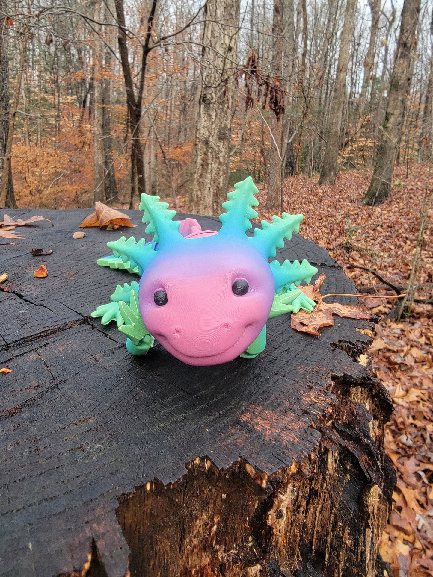 Axolotl Happy Axolotl Fidget Smiling Axolotl Fidget Toy 3D printed Articulated Axolotl Gift Unique Poseable Reptile Art!
