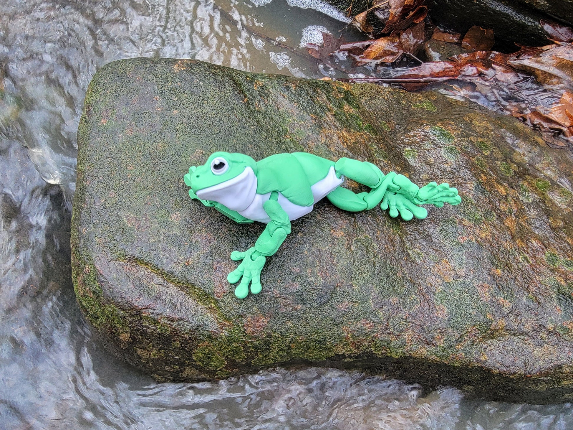 Multicolor Frog tree frog cute frog dumpy frog 3d printed frog whites tree frog white's treefrog