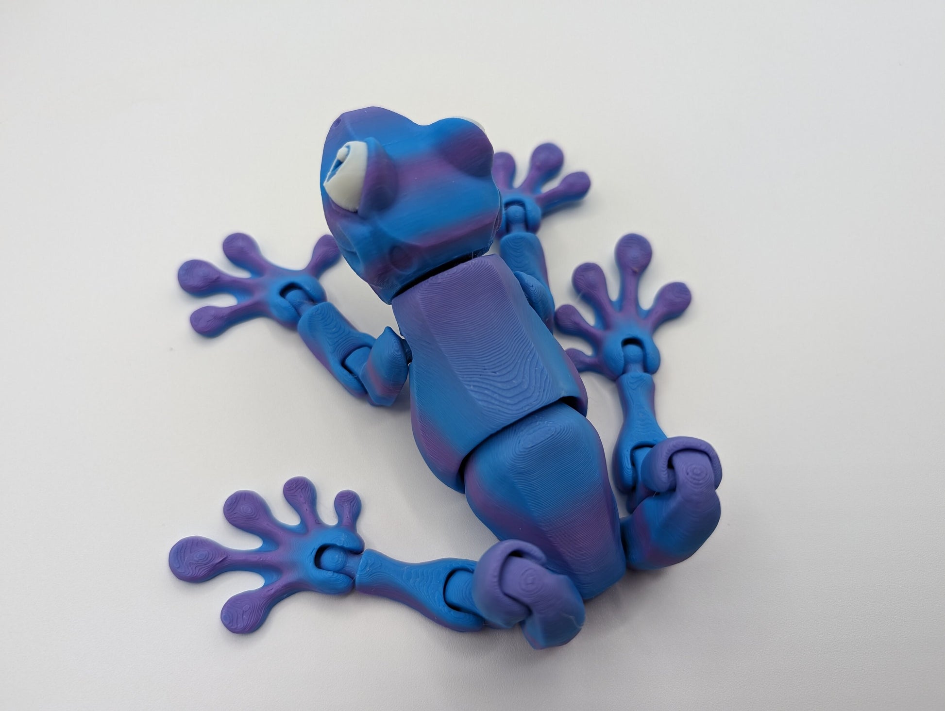 Articulated Tree Frog Fidget Toy Unique 3D Printed Gift