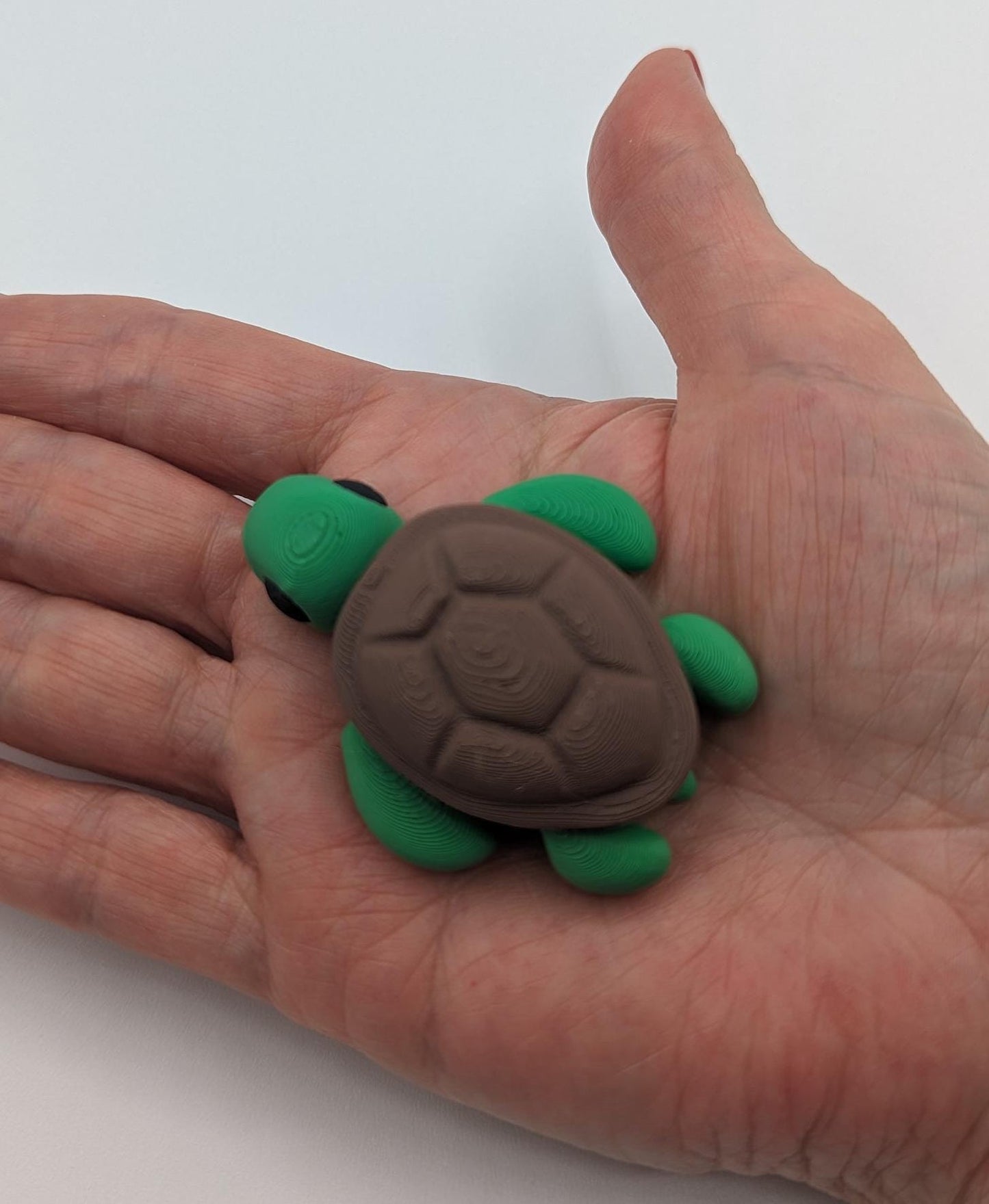 Turtle Articulated Baby Turtle 3D Printed Fidget Fun!