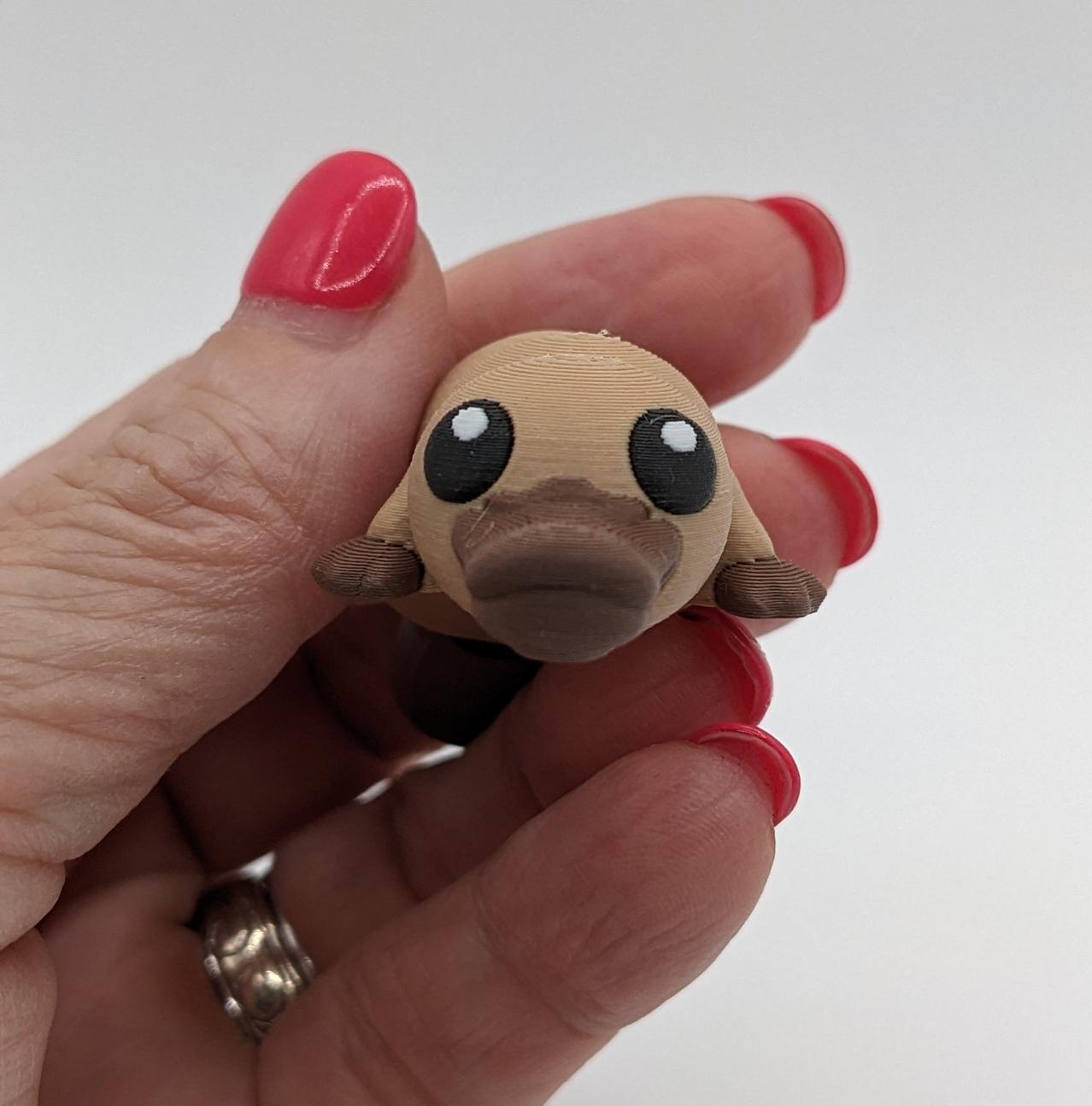 This charming Baby Platypus fidget toy is meticulously designed to fit comfortably in your hand, making it an ideal stress-relief companion. The tactile satisfaction and whimsical design make it a must-have for fidgeters of all ages.