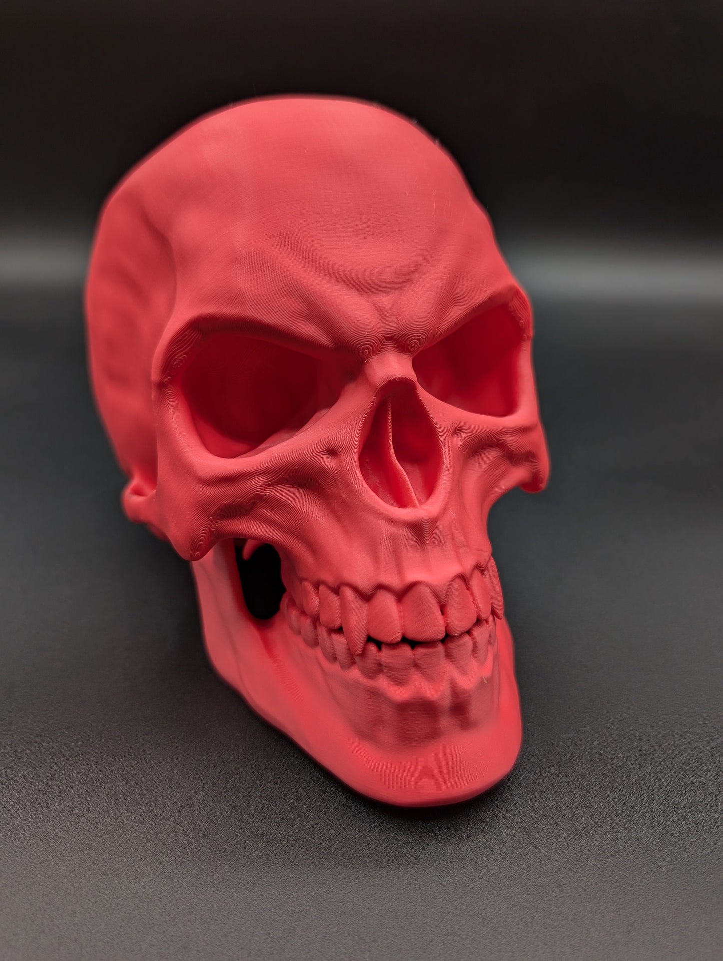 Introducing our Articulated Halloween Vampire Human Skull, the perfect addition to your Halloween decor or gothic collection. This intricately designed skull is a fun and interactive item, thanks to its fully articulated jaw. Multiple colors offered!