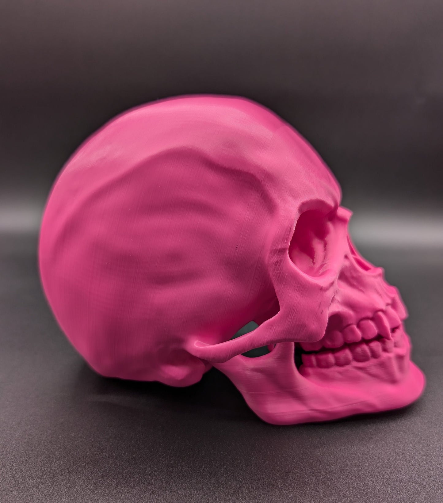 Introducing our Articulated Halloween Vampire Human Skull, the perfect addition to your Halloween decor or gothic collection. This intricately designed skull is a fun and interactive item, thanks to its fully articulated jaw. Multiple colors offered!