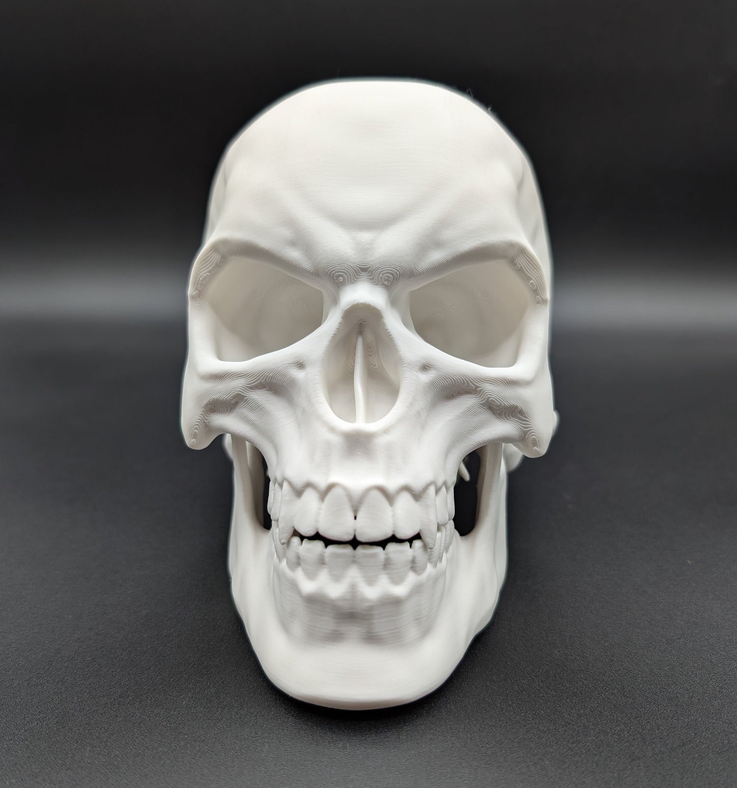 Introducing our Articulated Halloween Vampire Human Skull, the perfect addition to your Halloween decor or gothic collection. This intricately designed skull is a fun and interactive item, thanks to its fully articulated jaw. Multiple colors offered!