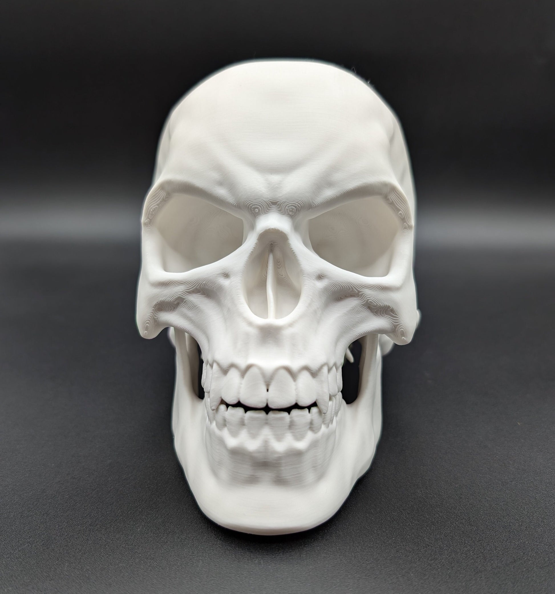 Introducing our Articulated Halloween Vampire Human Skull, the perfect addition to your Halloween decor or gothic collection. This intricately designed skull is a fun and interactive item, thanks to its fully articulated jaw. Multiple colors offered!