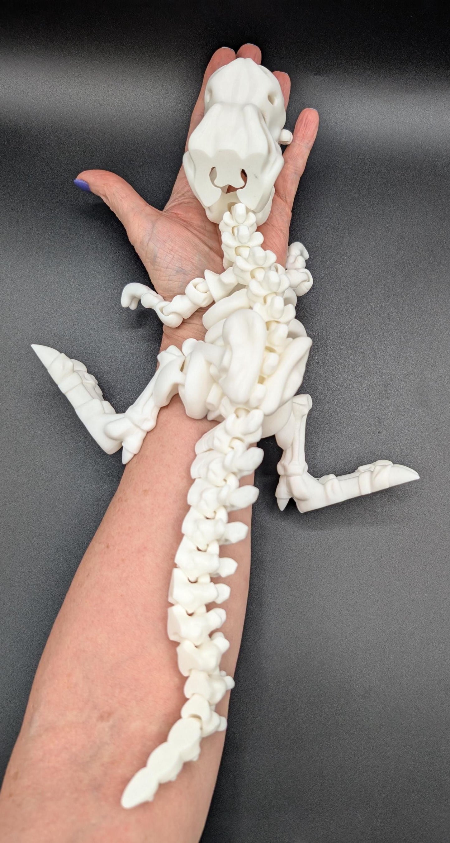 T-Rex Articulating T-Rex Skeleton Fidget Dinosaur Decoration Mesmerizing Stress Relief Toy Prehistoric Fidget Desk Stress Toy