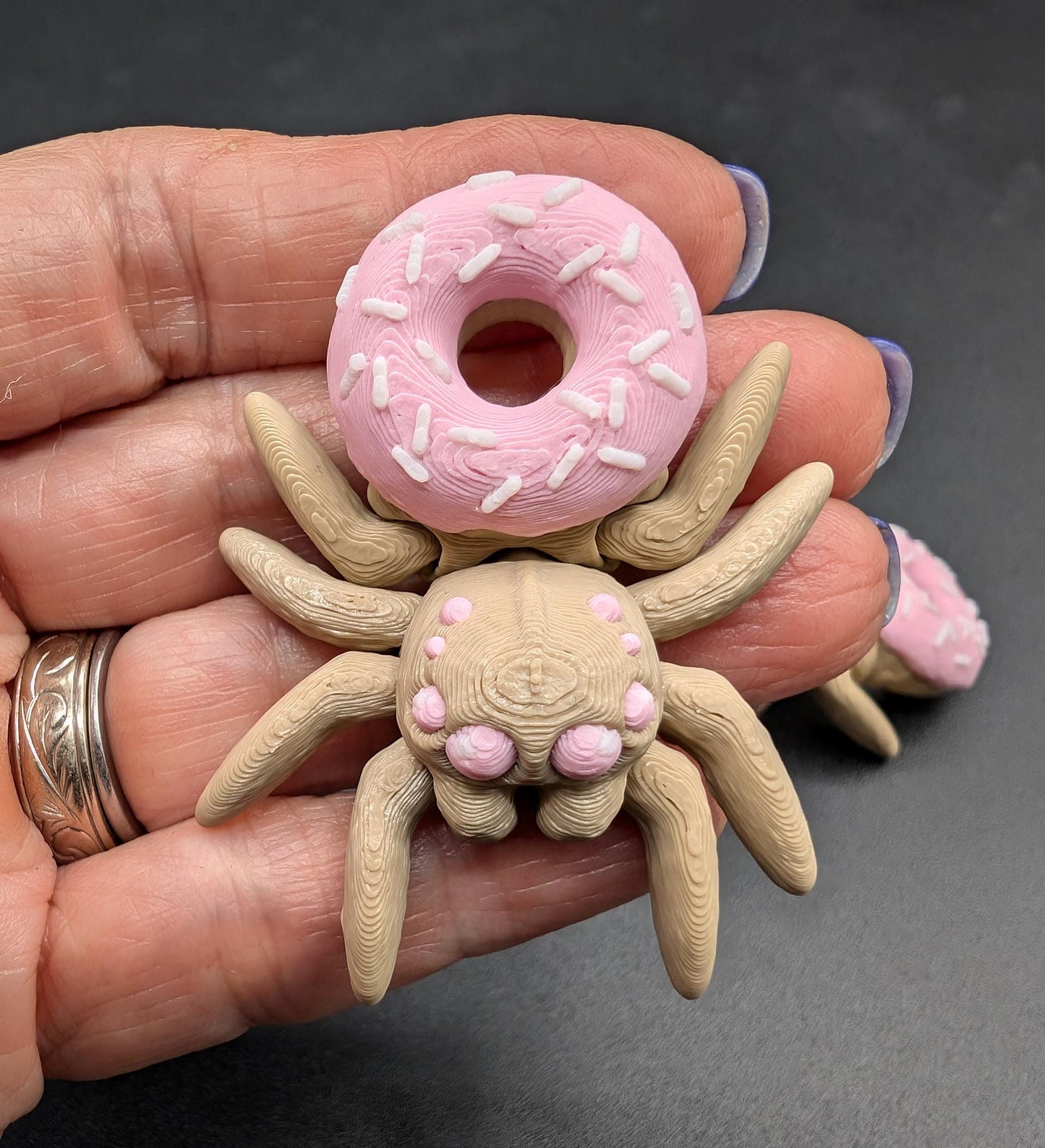 Sweet Articulated Donut Spider