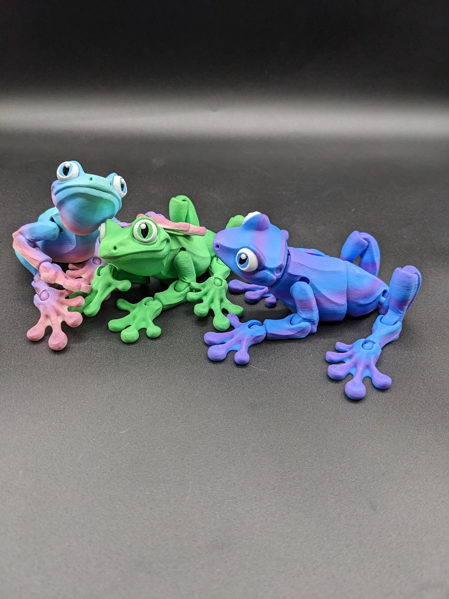 Articulated Tree Frog Fidget Toy Unique 3D Printed Gift