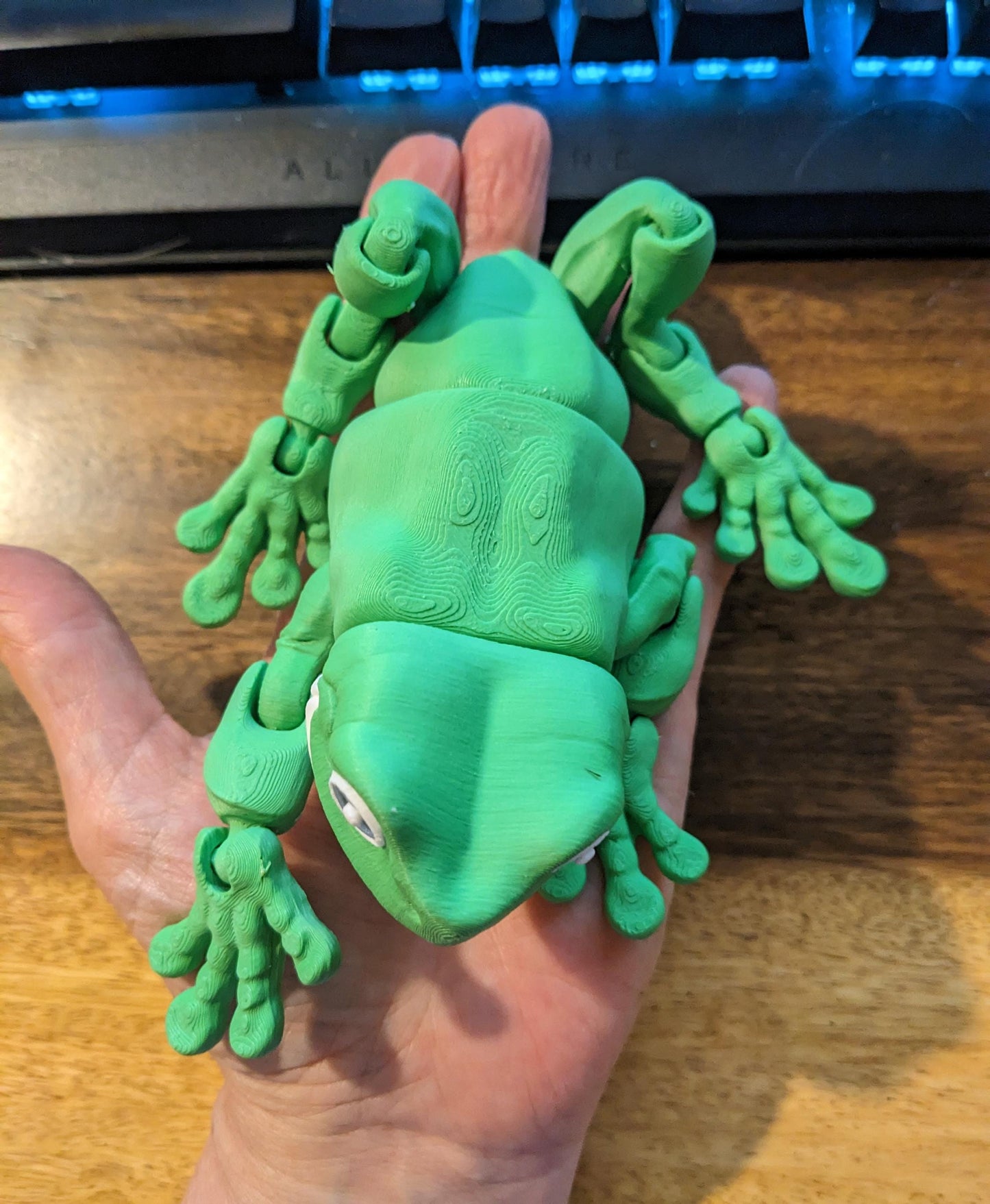White's Tree Frog - Flexi Articulated Fidget Toy - 3D Printed