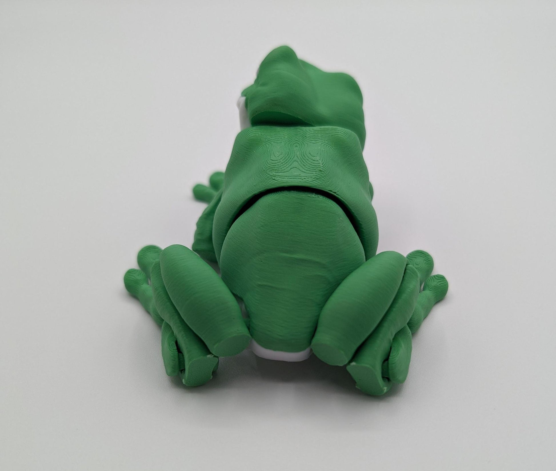 Multicolor Frog tree frog cute frog dumpy frog 3d printed frog whites tree frog white's treefrog