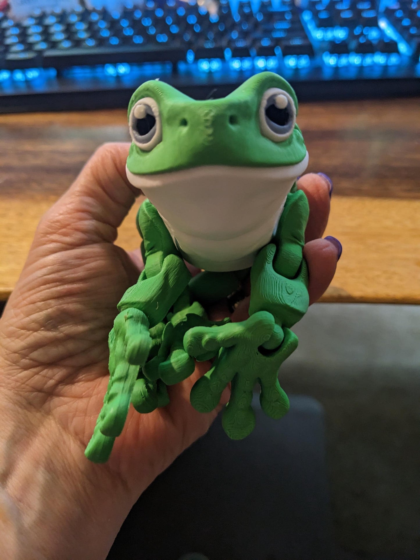 White's Tree Frog - Flexi Articulated Fidget Toy - 3D Printed
