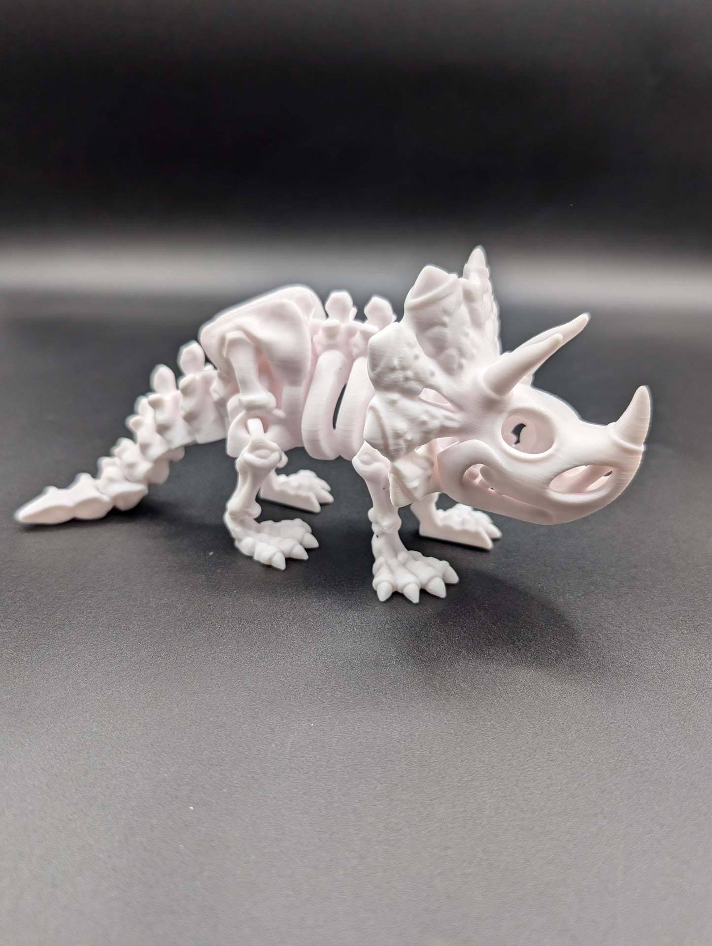 Flexi Factory Skeleton Triceratops where imagination meets prehistory! Unique Gift!