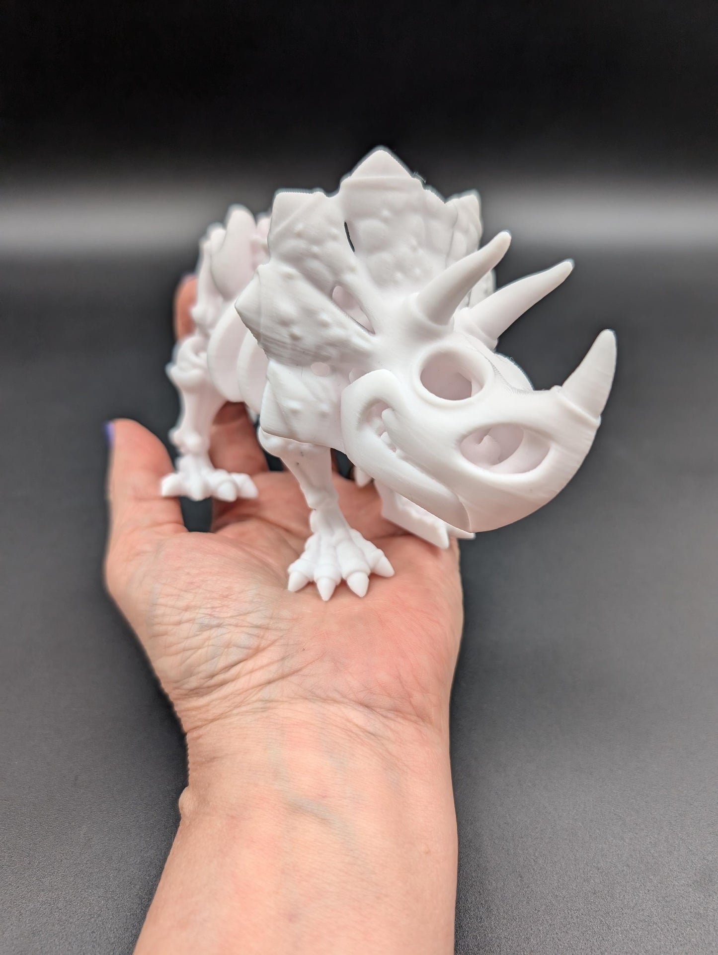 Flexi Factory Skeleton Triceratops where imagination meets prehistory! Unique Gift!