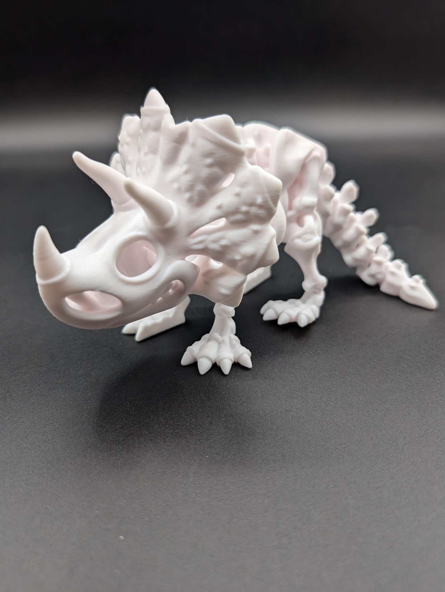 Flexi Factory Skeleton Triceratops where imagination meets prehistory! Unique Gift!