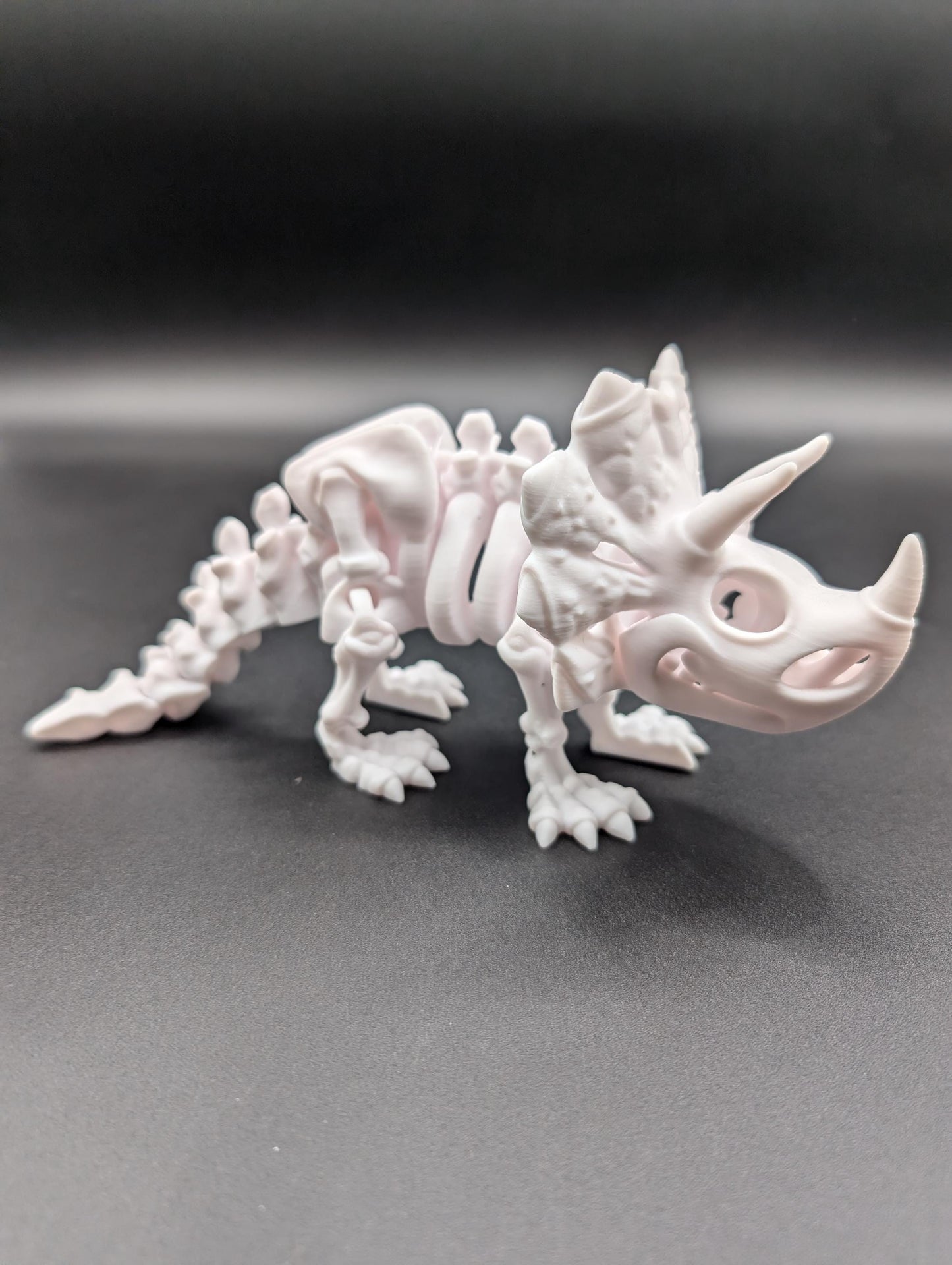 Flexi Factory Skeleton Triceratops where imagination meets prehistory! Unique Gift!