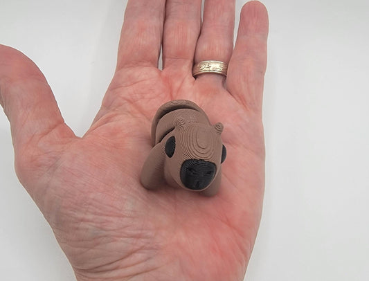 Adorable Baby Capybara Fidget