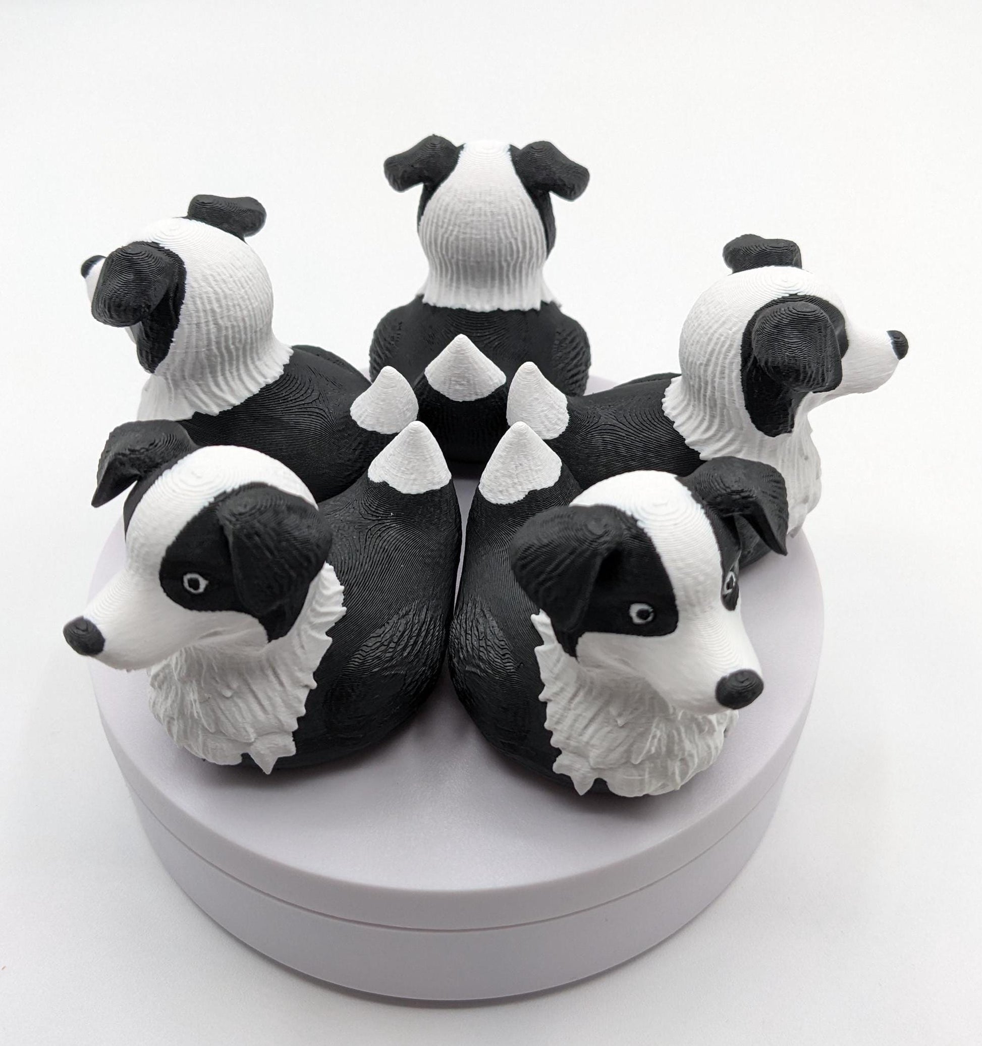 Bring some whimsy and joy into your life with The Fabulous Border Collie Duck! Whether you’re treating yourself or surprising someone special, this adorable hybrid figurine is guaranteed to bring smiles, spark conversations, and stand out in any duck collection. Compact, durable, and eco-friendly, it’s the perfect addition to your Jeep duck collection or a thoughtful gift for dog lovers.