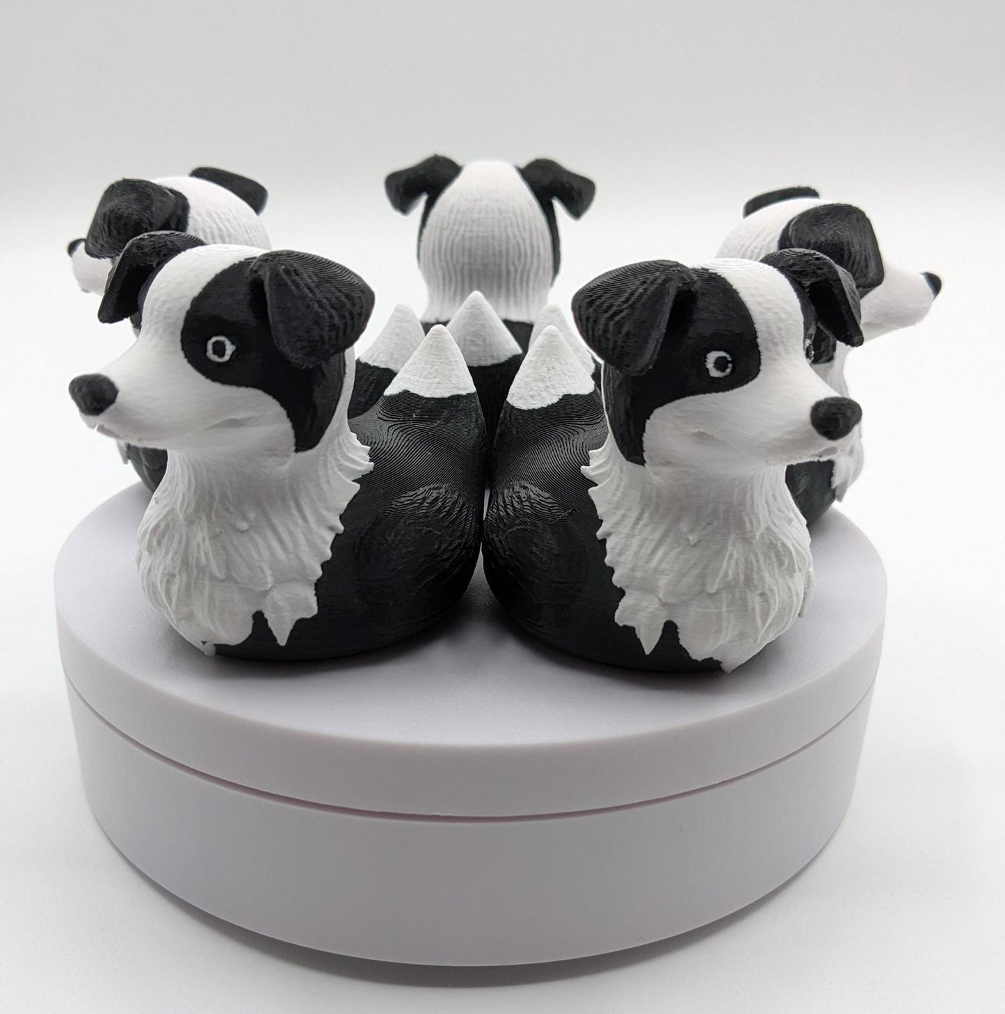 Bring some whimsy and joy into your life with The Fabulous Border Collie Duck! Whether you’re treating yourself or surprising someone special, this adorable hybrid figurine is guaranteed to bring smiles, spark conversations, and stand out in any duck collection. Compact, durable, and eco-friendly, it’s the perfect addition to your Jeep duck collection or a thoughtful gift for dog lovers.