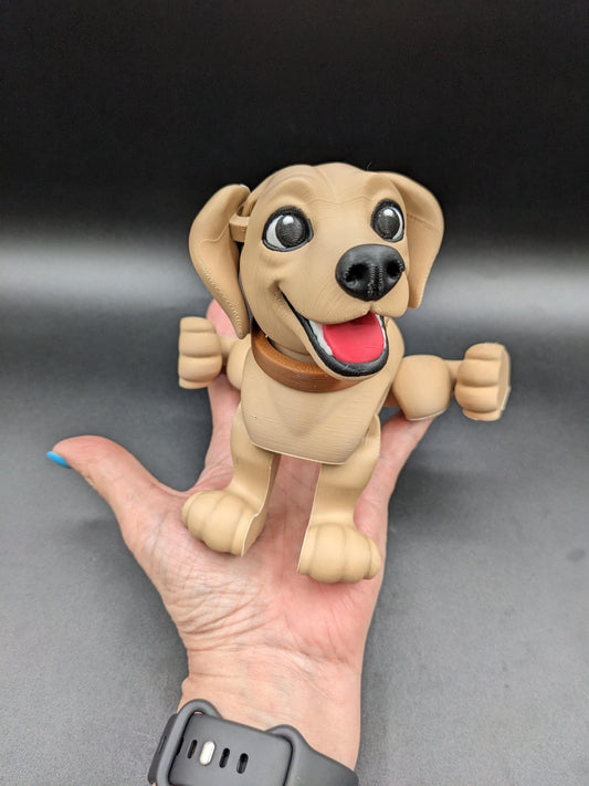 Articulated Lovable Labrador Retriever