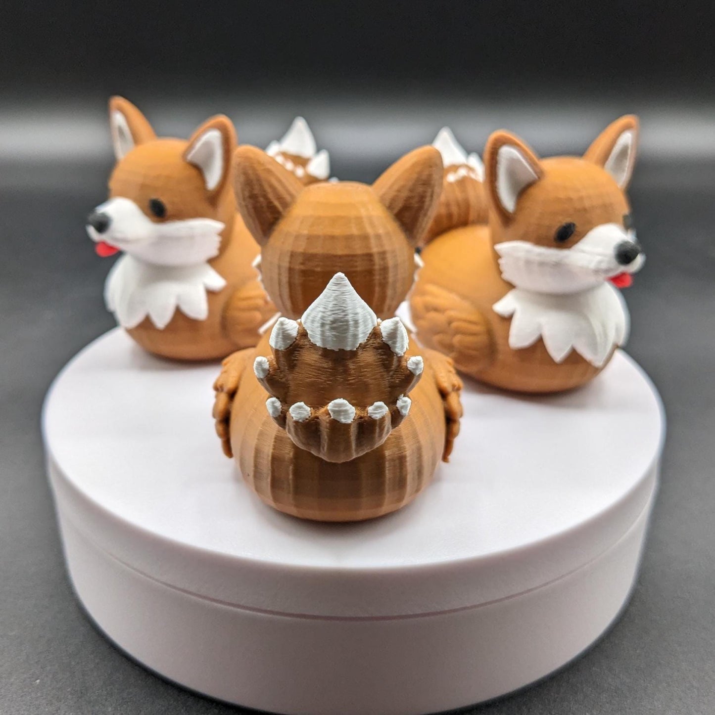 The Confident Corgi Dog Duck