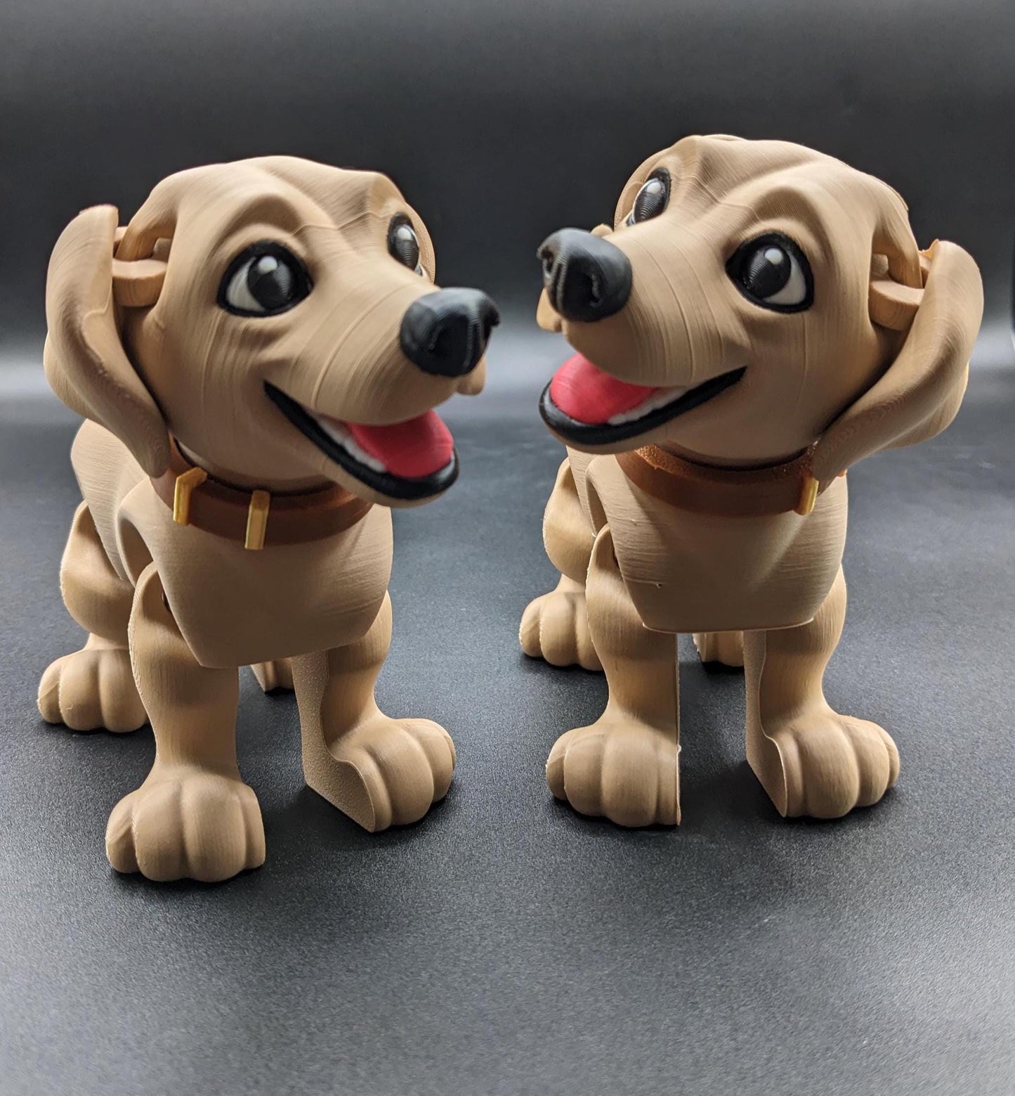 Articulated Lovable Labrador Retriever