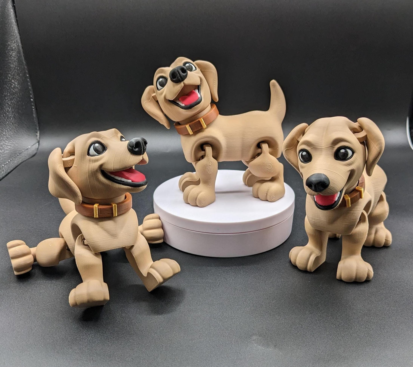 Articulated Lovable Labrador Retriever