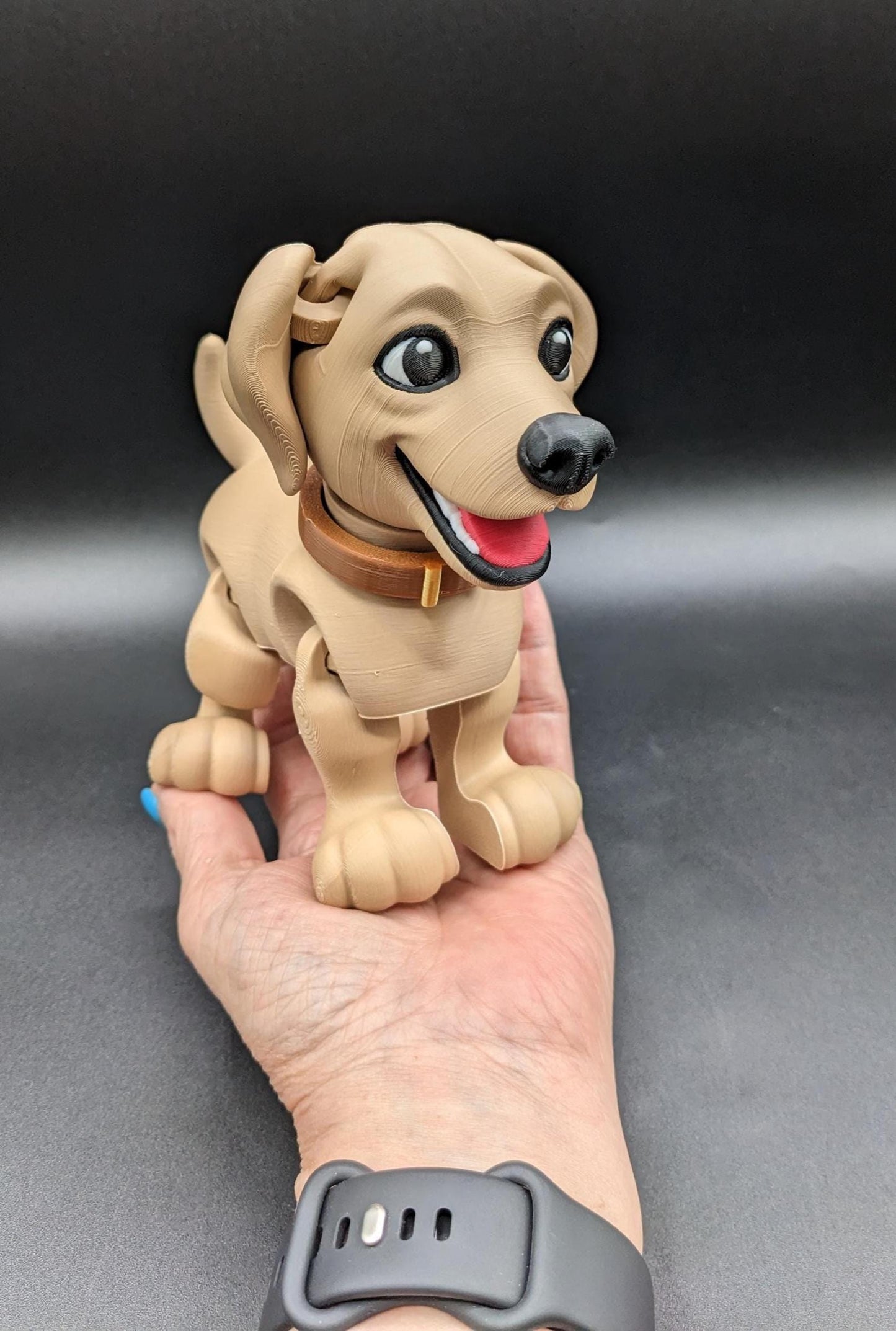 Articulated Lovable Labrador Retriever