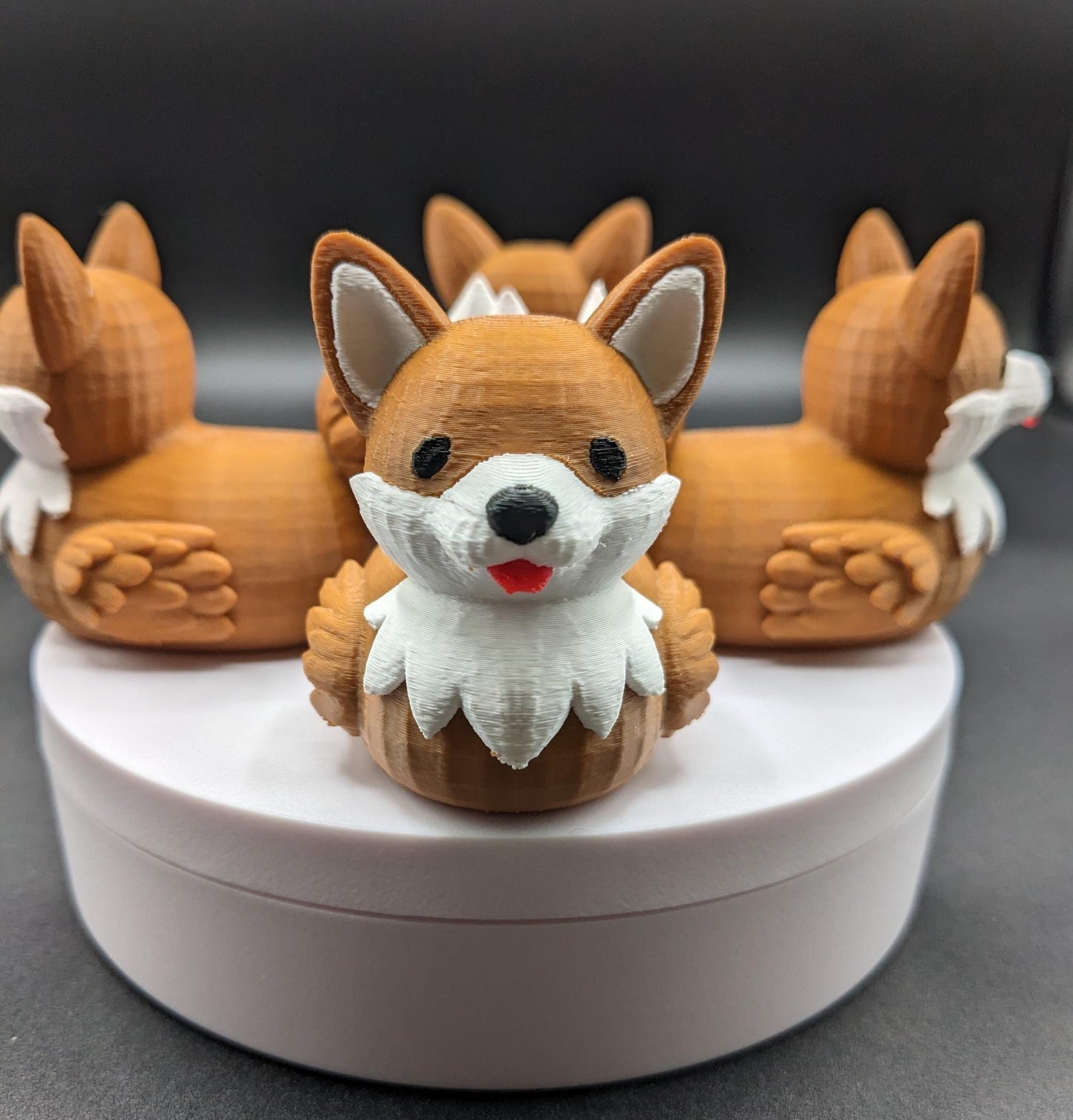The Confident Corgi Dog Duck