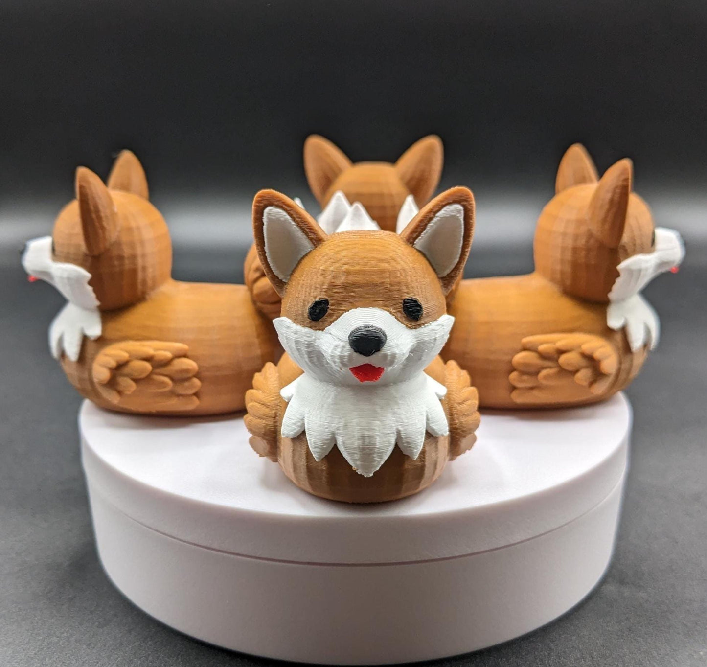 The Confident Corgi Dog Duck