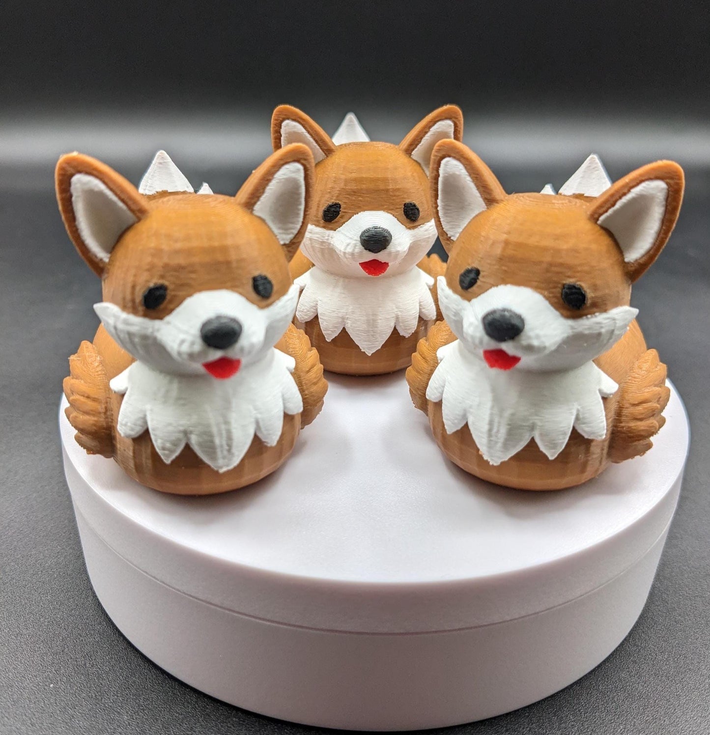 The Confident Corgi Dog Duck