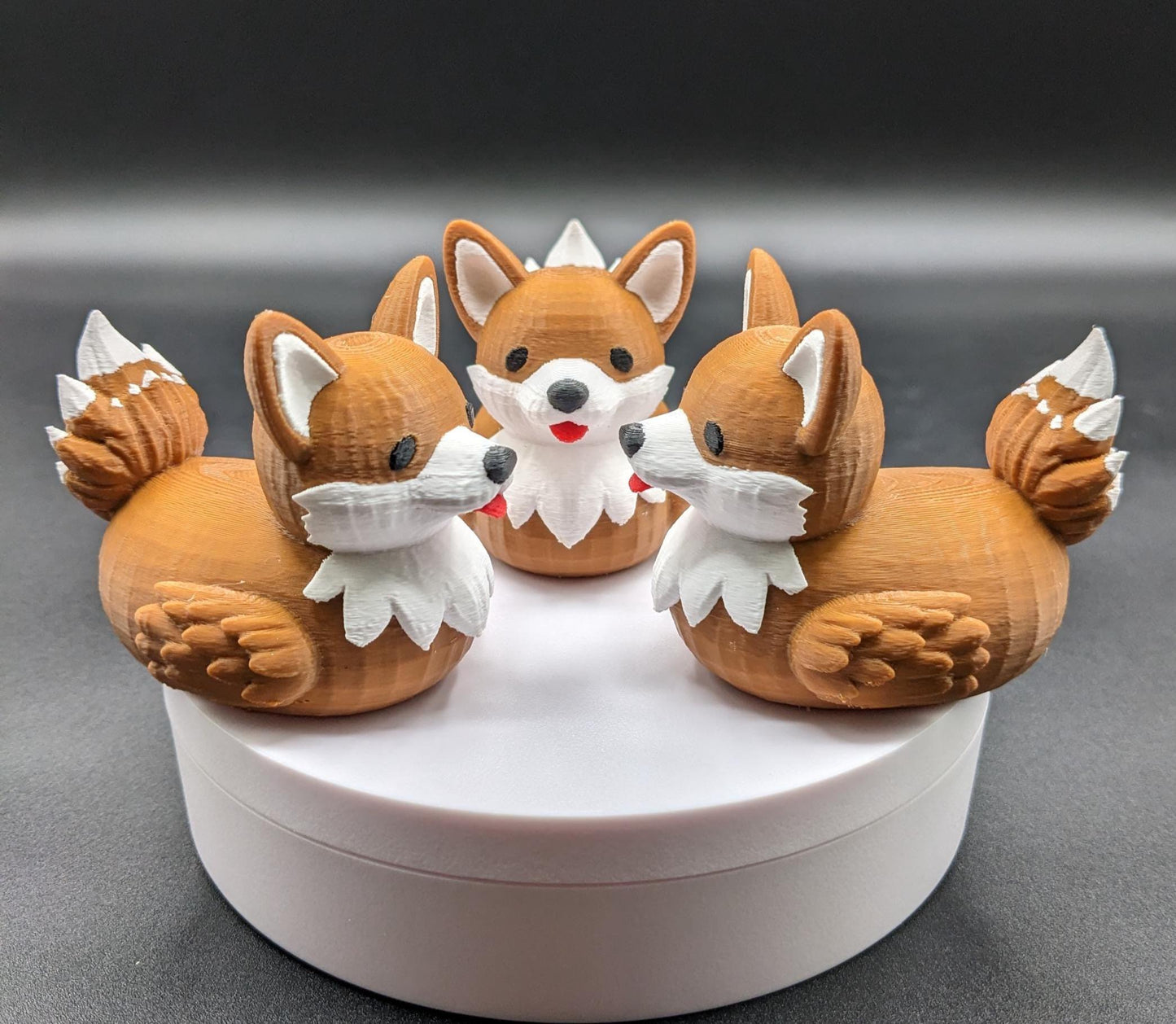 The Confident Corgi Dog Duck
