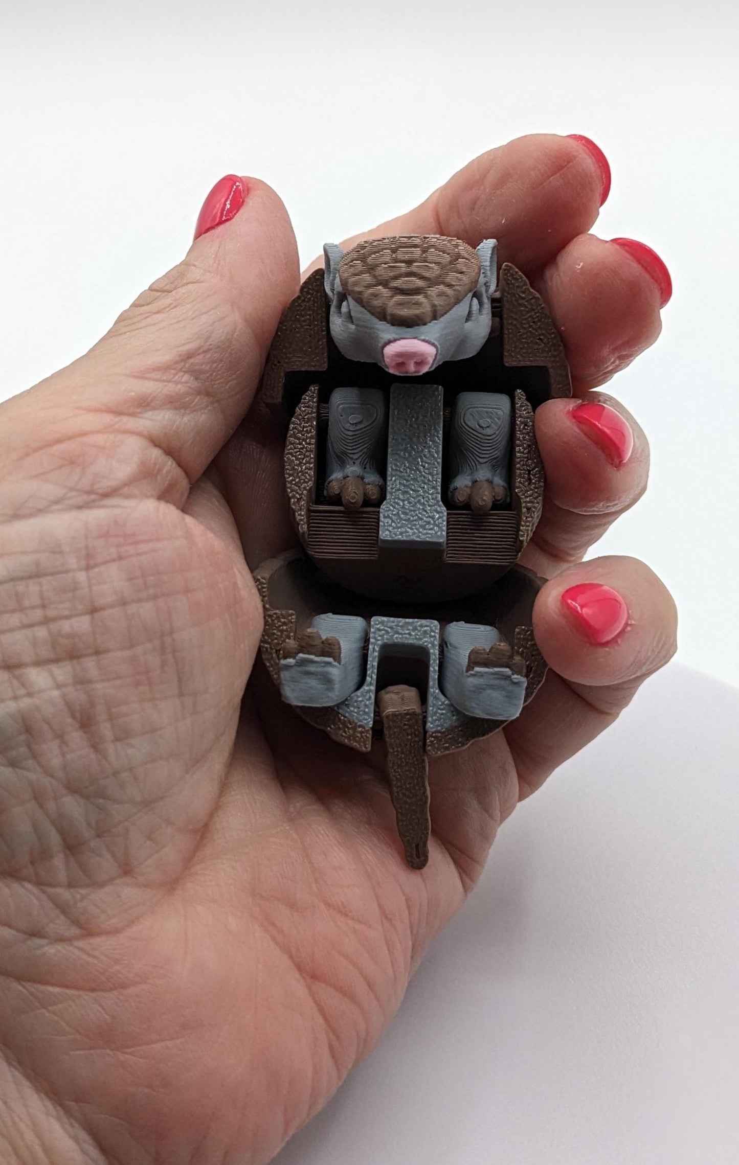 Friendly Articulated Armadillo Fidget Toy