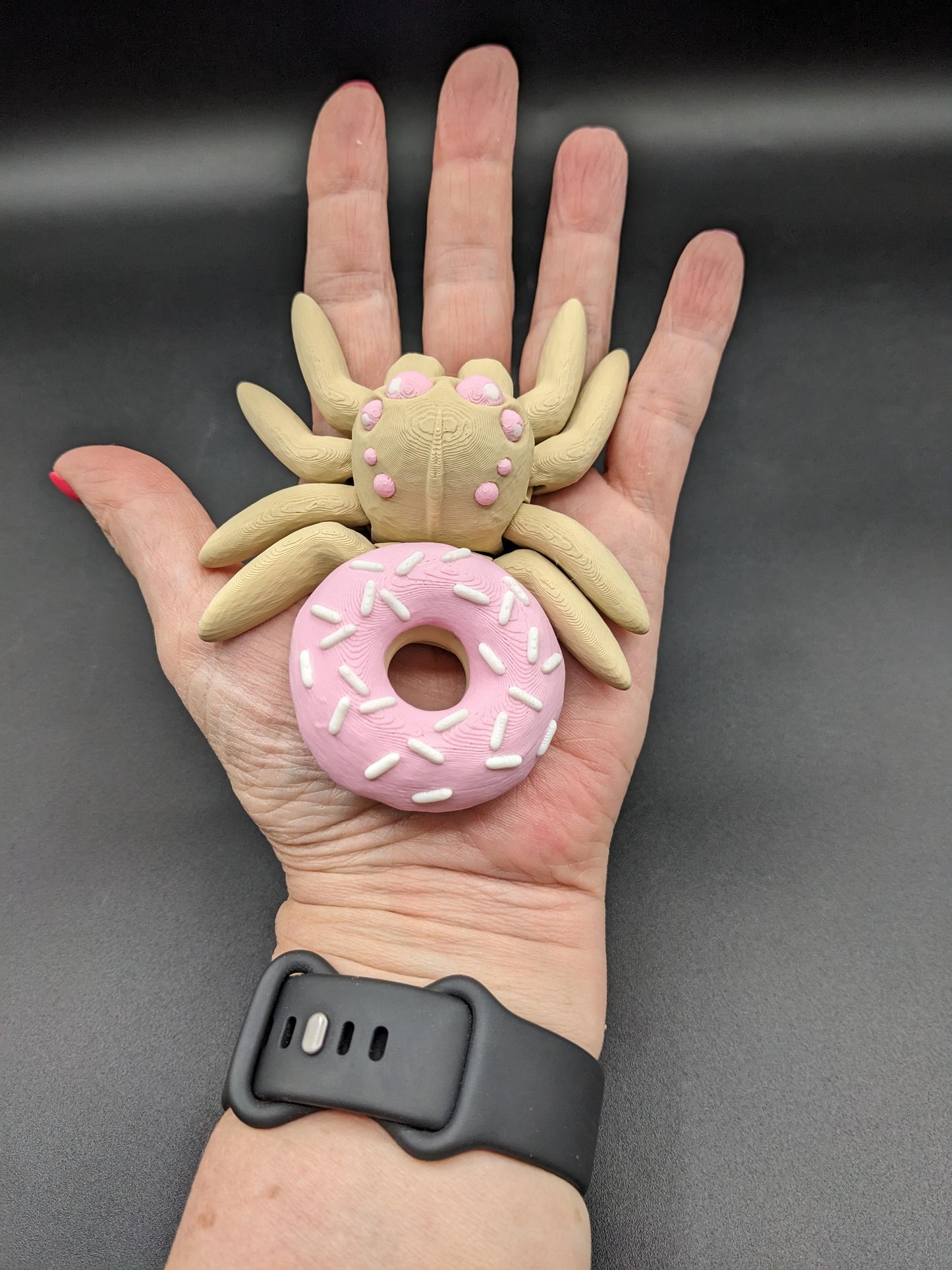 Sweet Articulated Donut Spider