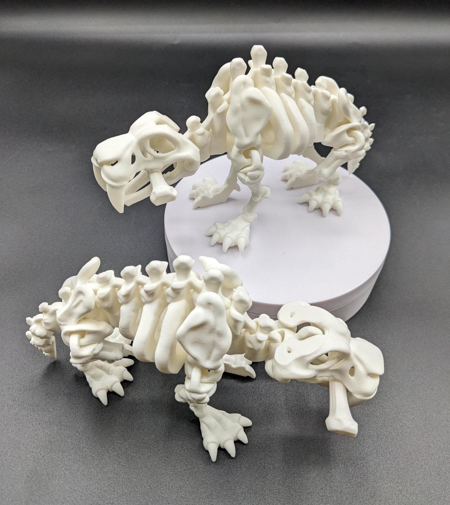 Articulated Saber Tooth Tiger Skeleton Toy