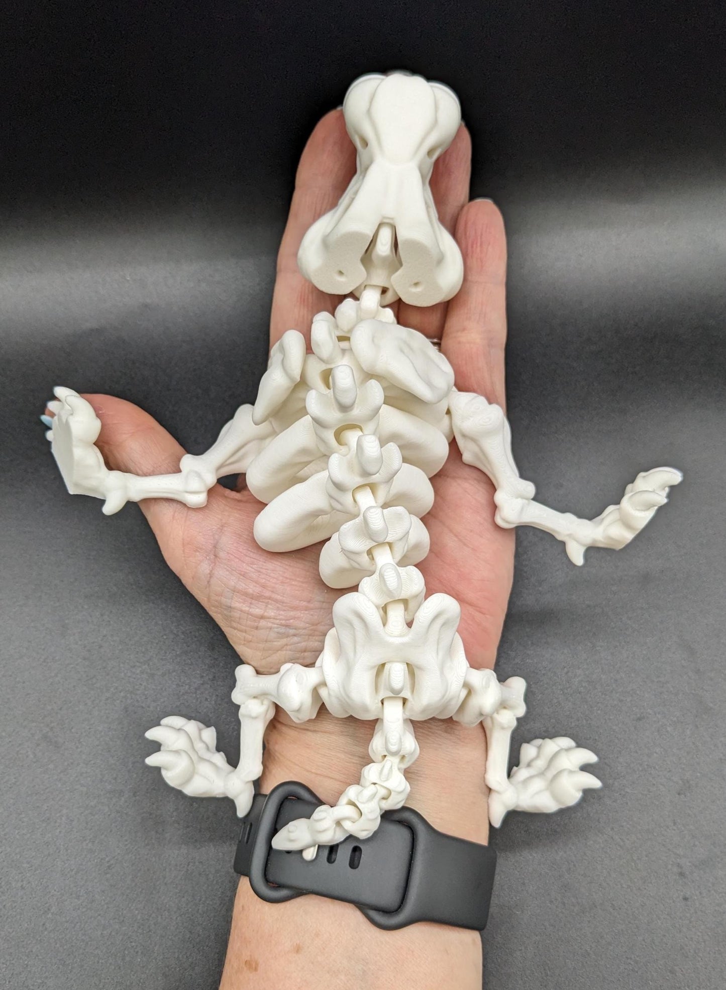 Articulated Saber Tooth Tiger Skeleton Toy
