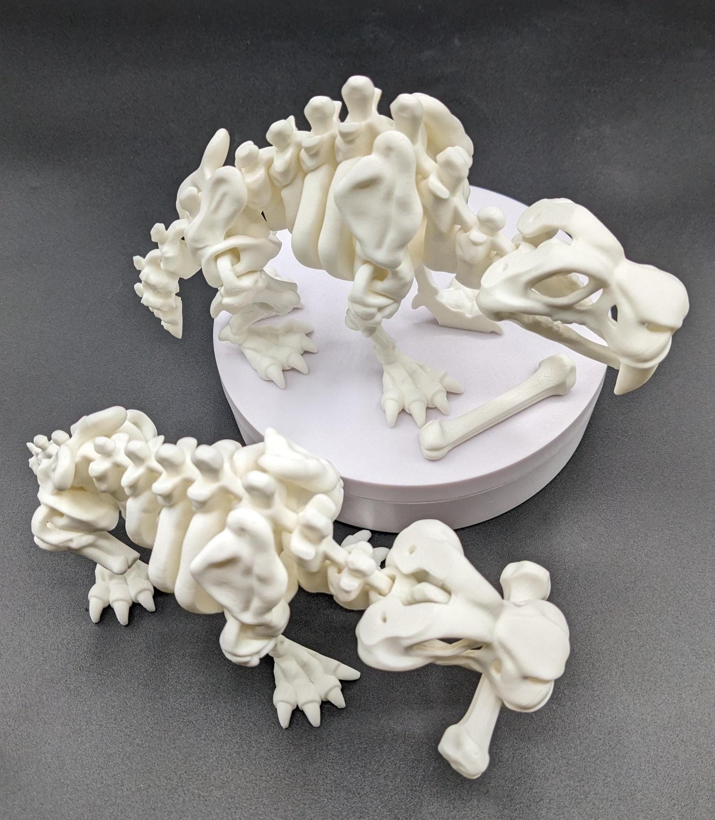 Articulated Saber Tooth Tiger Skeleton Toy